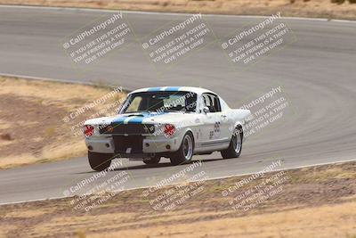 media/Oct-25-2025-West Coast Racing (Sat) [[9fdcbcd09c]]/Yellow group/Turn 3/